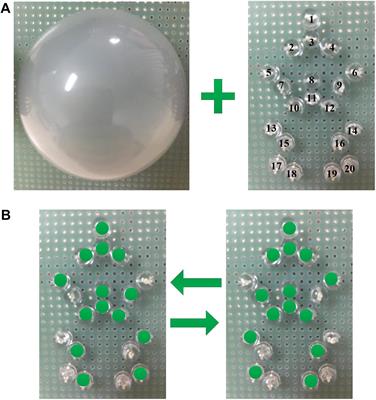 A Light Spot Humanoid Motion Paradigm Modulated by the Change of Brightness to Recognize the Stride Motion Frequency